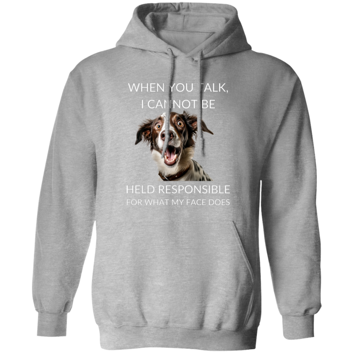 Pullover Hoodie With Funny Design, "When You Talk"