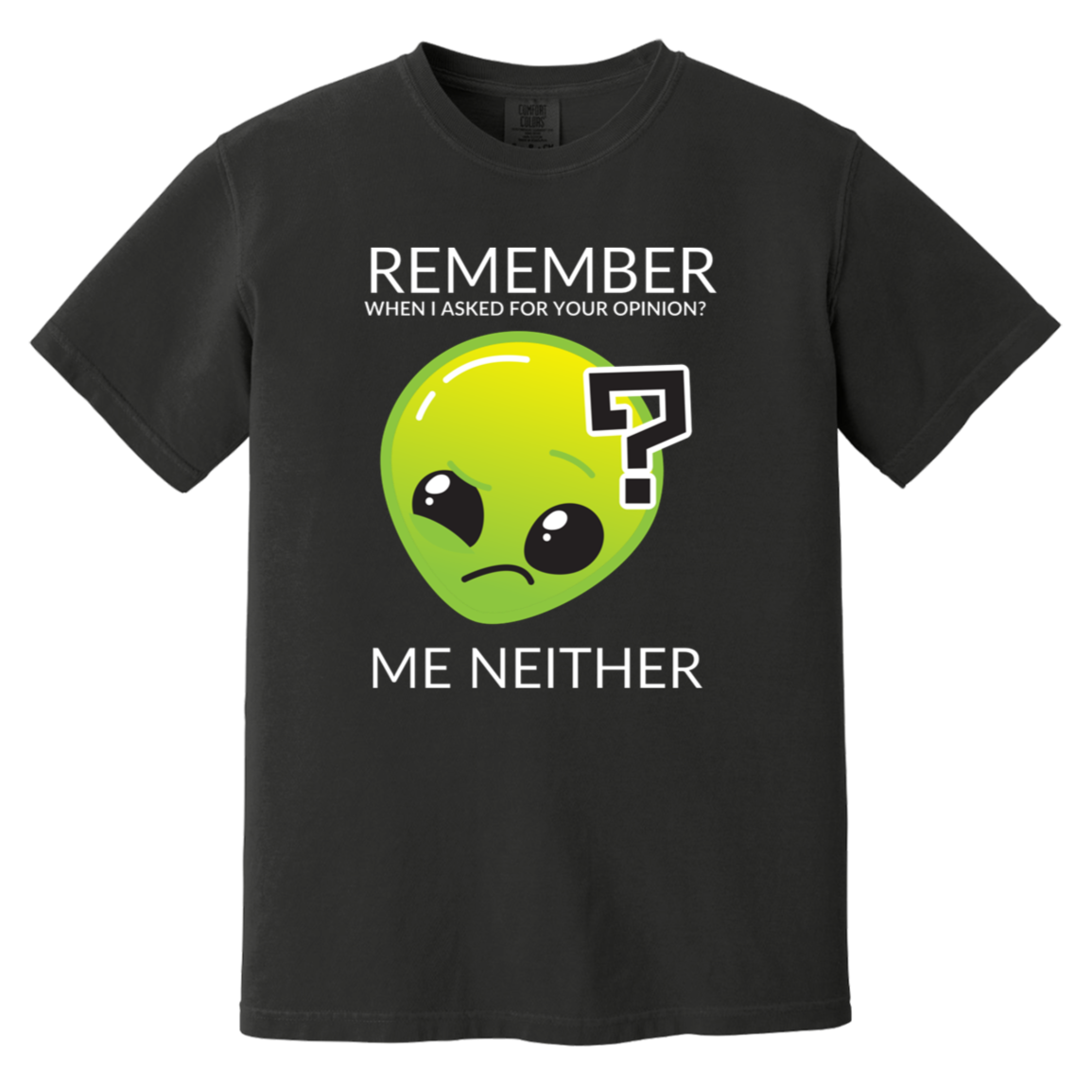 Black heavyweight garment-dyed cotton t-shirt featuring humorous quote 'Remember when I asked for your opinion?... me neither' with alien graphic of Roswell