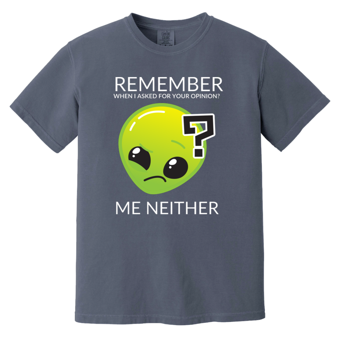 denim heavyweight garment-dyed cotton t-shirt featuring humorous quote 'Remember when I asked for your opinion?... me neither' with alien graphic of Roswell