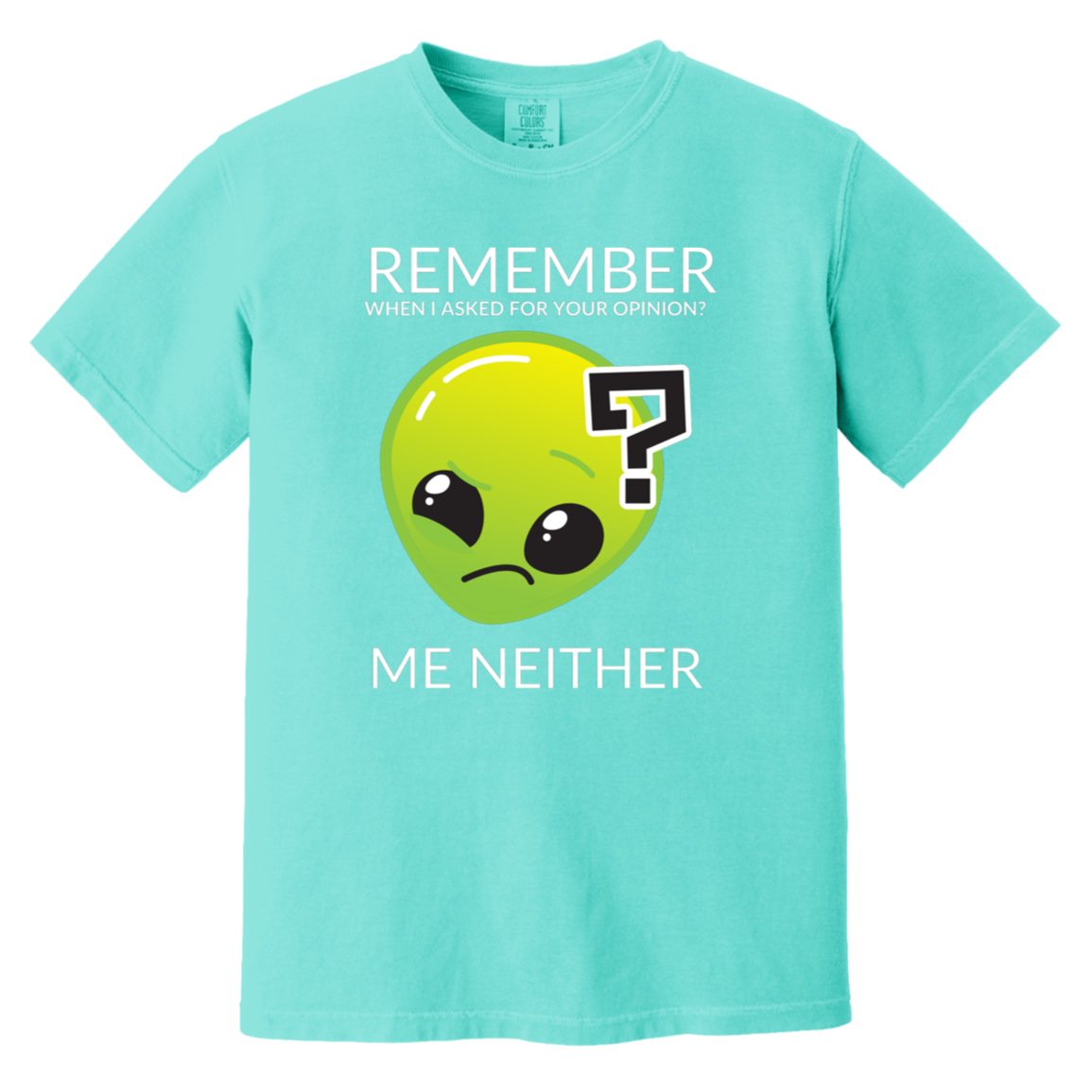 lagoon blue heavyweight garment-dyed cotton t-shirt featuring humorous quote 'Remember when I asked for your opinion?... me neither' with alien graphic of Roswell