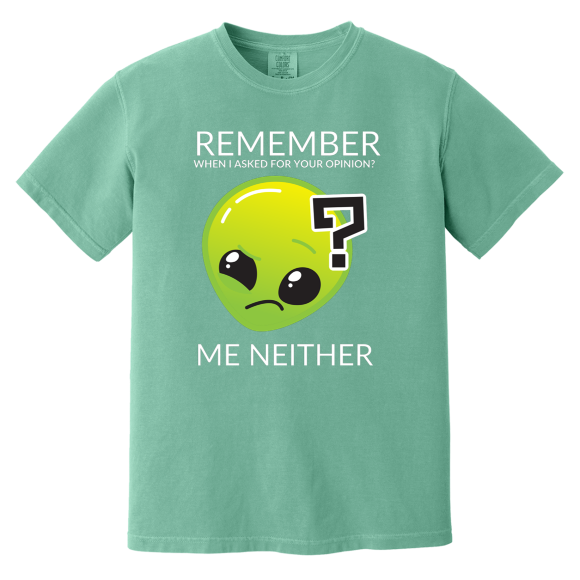 seafoam heavyweight garment-dyed cotton t-shirt featuring humorous quote 'Remember when I asked for your opinion?... me neither' with alien graphic of Roswell