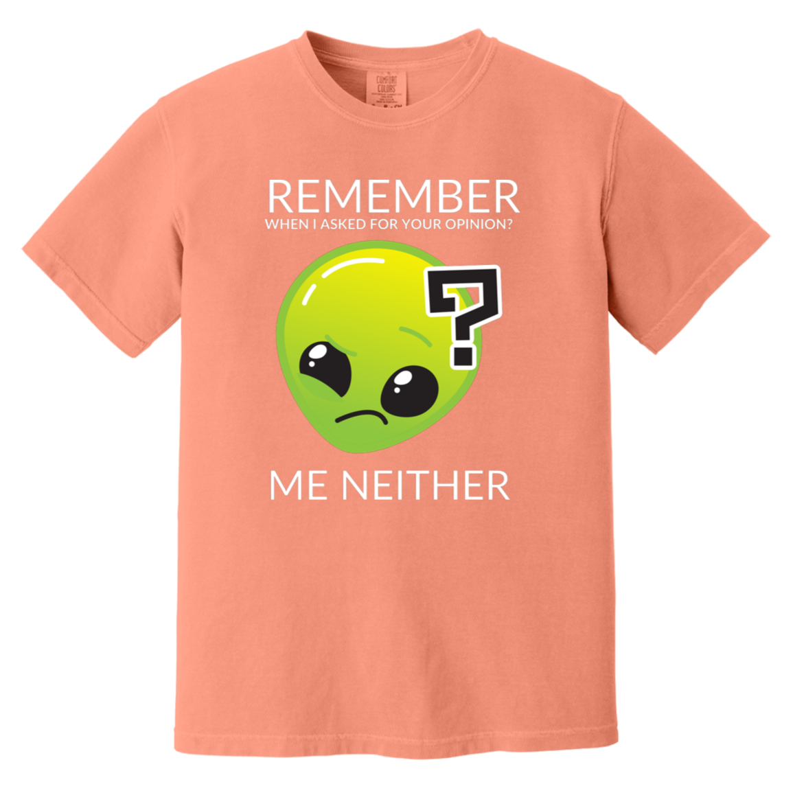 terracotta heavyweight garment-dyed cotton t-shirt featuring humorous quote 'Remember when I asked for your opinion?... me neither' with alien graphic of Roswell